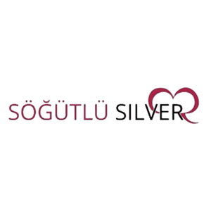 Söğütlü Silver logosu