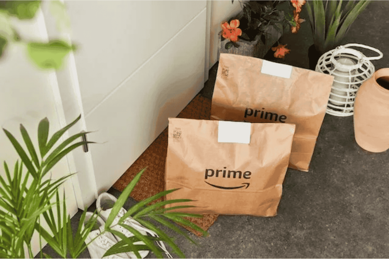 Amazon Now Expands Rapid Delivery Across India