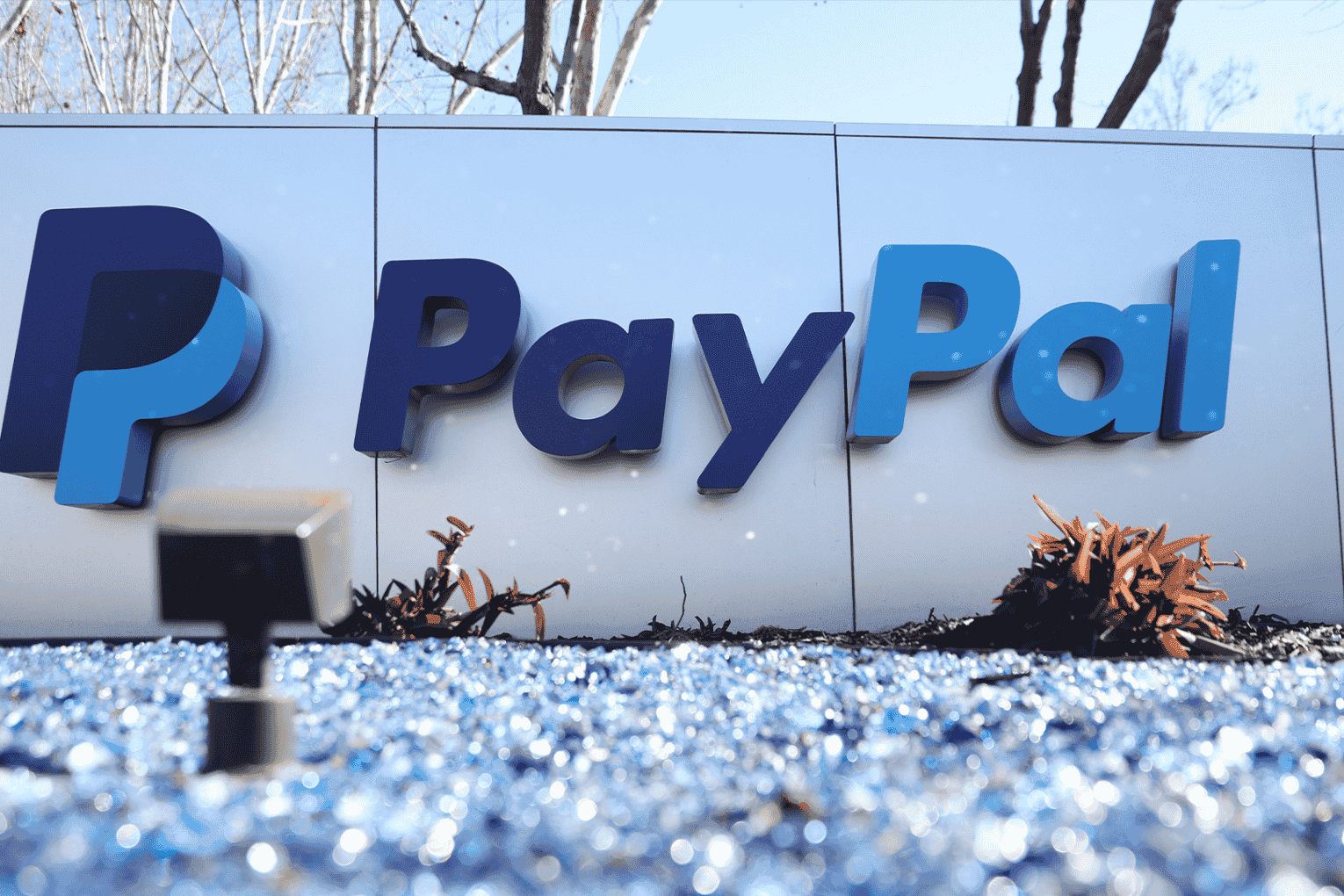 Google and PayPal Partner on AI-Powered Payments