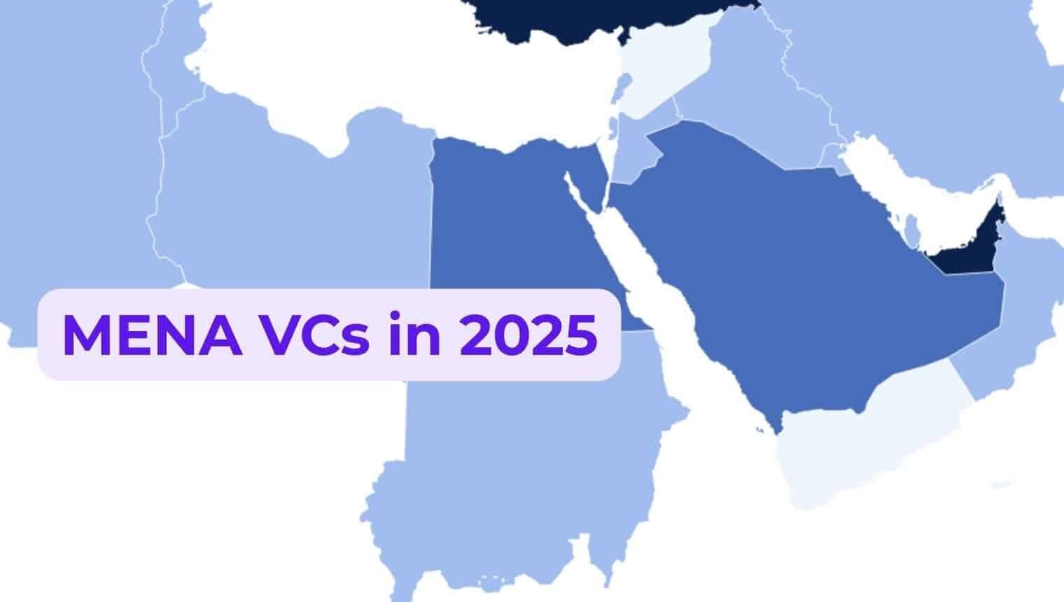 MENA Venture Capitals in 2025: Fintech Dominates, Sectors Diversify
