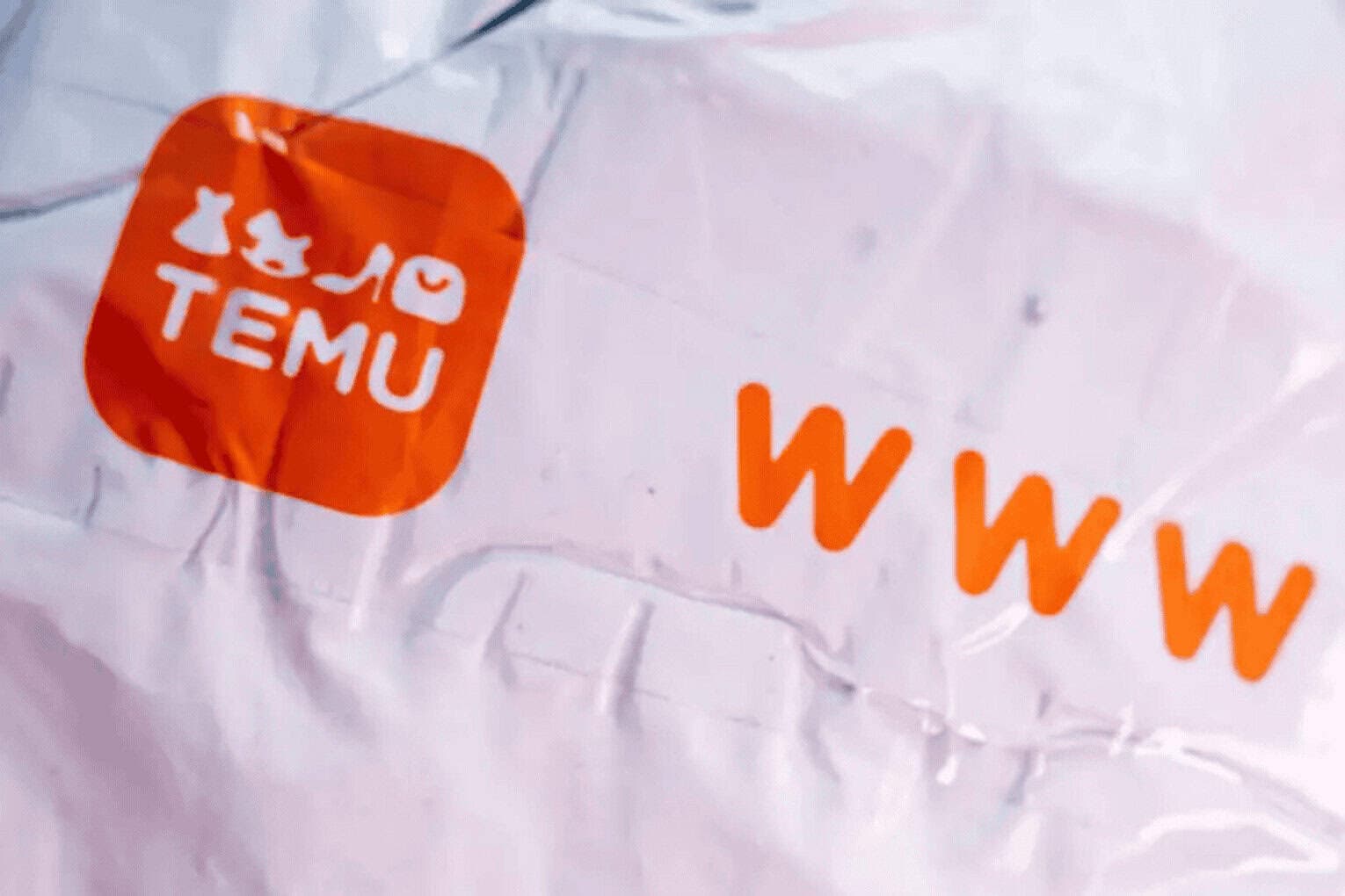 Germany Probes Temu Over Price Fixing